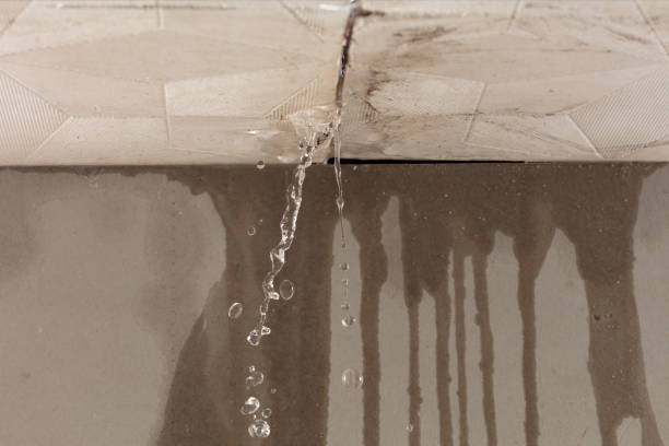 Professional Burst Pipe Cleanup technician working in Empire, CO